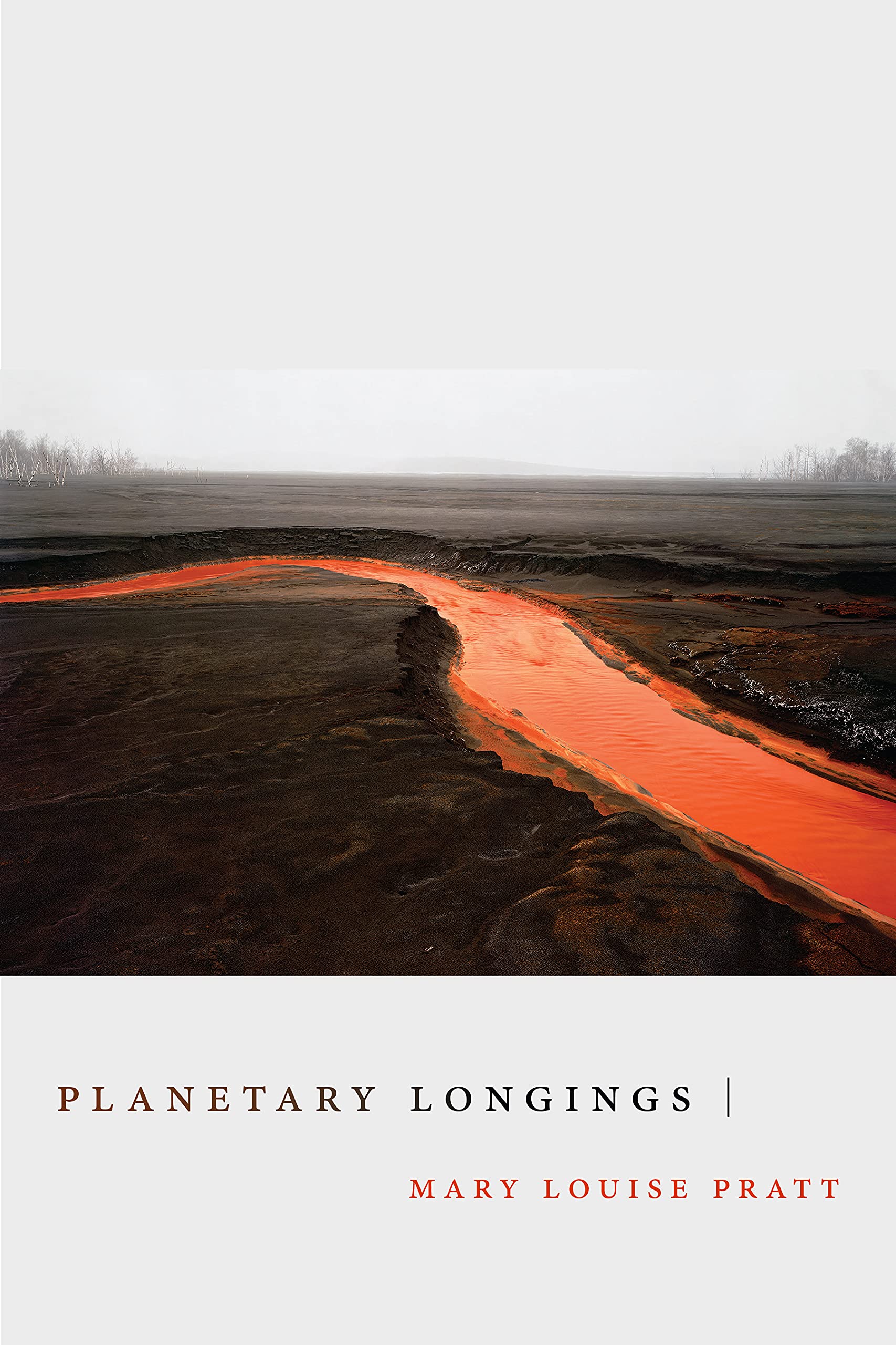 Planetary Longings (Dissident Acts) (PDF/EPUB Version)