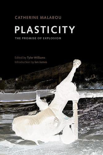 Plasticity: The Promise of Explosion (PDF/EPUB Version)