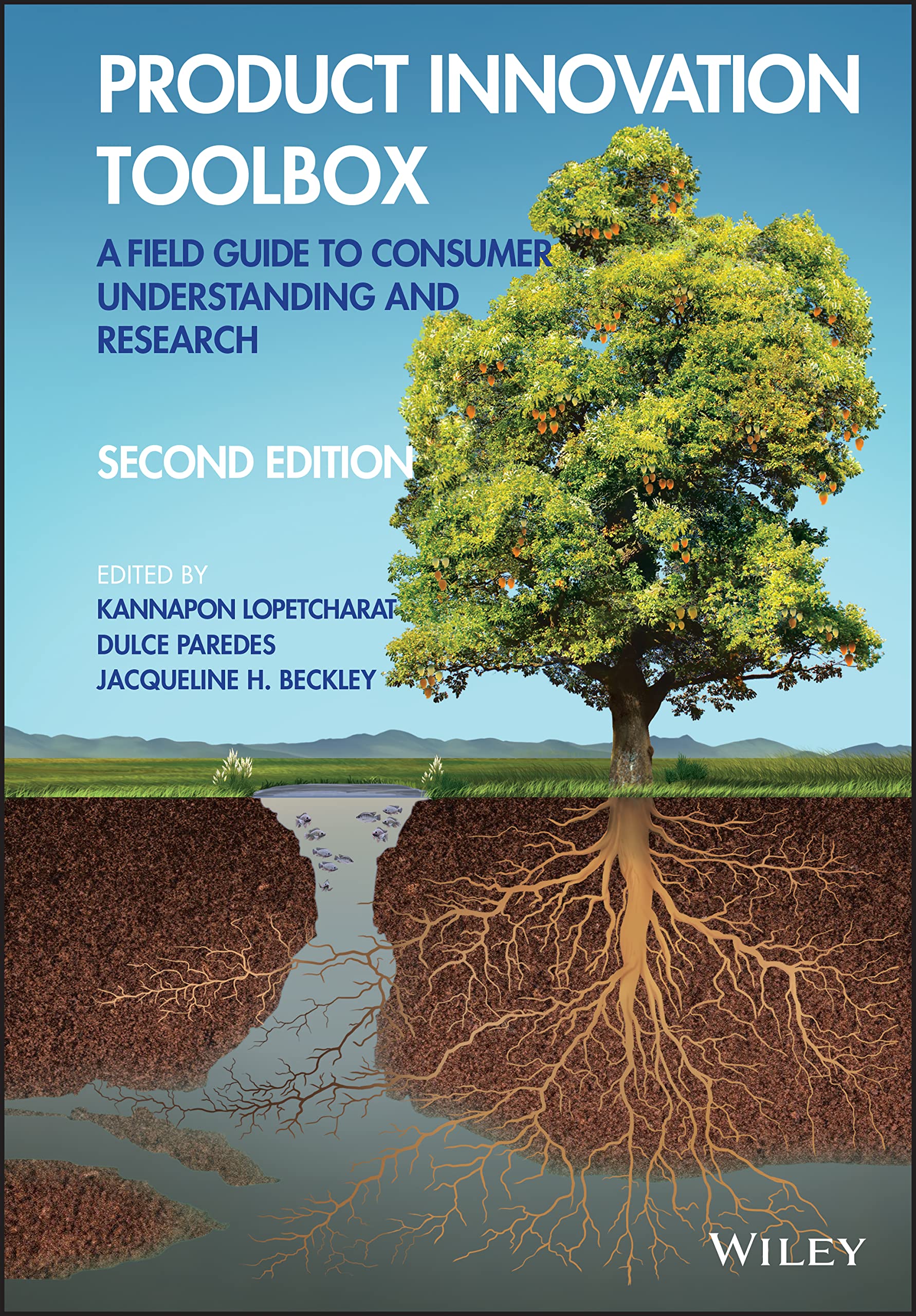 Product Innovation Toolbox: A Field Guide to Consumer Understanding and Research (PDF/EPUB Version)