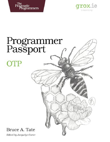 Programmer Passport: OTP (PDF/EPUB Version)
