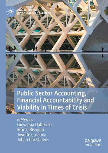 Public Sector Accounting, Financial Accountability and Viability in Times of Crisis (Public Sector Financial Management) (PDF/EPUB Version)