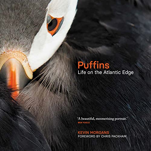 Puffins: Life on the Atlantic Edge (PDF/EPUB Version)