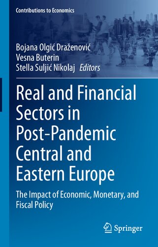 Real and Financial Sectors in Post-Pandemic Central and Eastern Europe: The Impact of Economic, Monetary, and Fiscal Policy (Contributions to Economics) (PDF/EPUB Version)