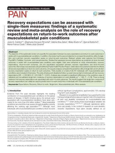 Recovery expectations can be measured with single-item measures: findings of a systematic review and meta-analysis on the role of recovery expectations on return-to-work outcomes following musculoskeletal pain conditions (PDF/EPUB Version)