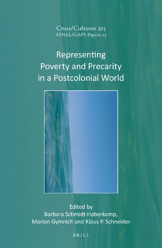Representing Poverty and Precarity in a Postcolonial World (PDF/EPUB Version)