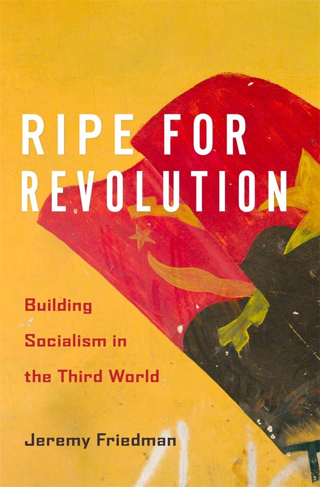 Ripe for Revolution: Building Socialism in the Third World (PDF/EPUB Version)