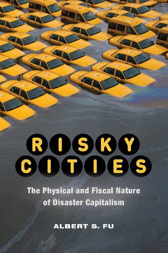 Risky Cities: The Physical and Fiscal Nature of Disaster Capitalism (PDF/EPUB Version)