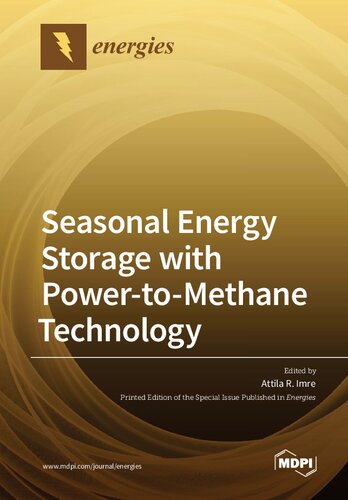Seasonal Energy Storage with Power-to-Methane Technology (PDF/EPUB Version)