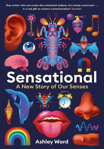 Sensational (PDF/EPUB Version)