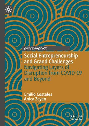 Social Entrepreneurship and Grand Challenges: Navigating Layers of Disruption from COVID-19 and Beyond (PDF/EPUB Version)
