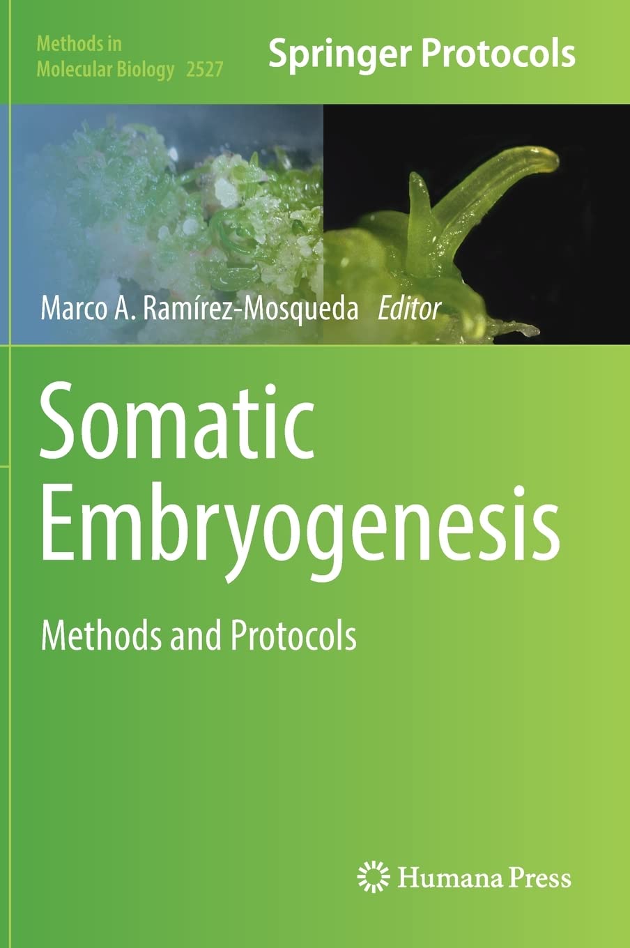 Somatic Embryogenesis: Methods and Protocols (PDF/EPUB Version)