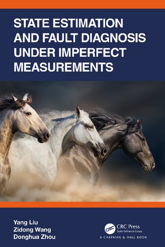 State Estimation and Fault Diagnosis under Imperfect Measurements (PDF/EPUB Version)
