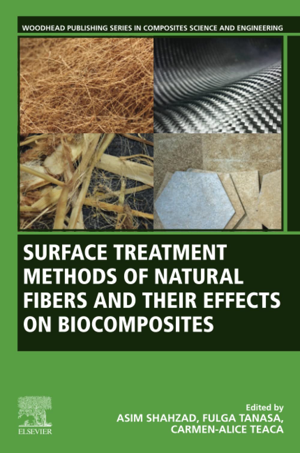 Surface Treatment Methods of Natural Fibres and their Effects on Biocomposites (Woodhead Publishing Series in Composites Science and Engineering) (PDF/EPUB Version)