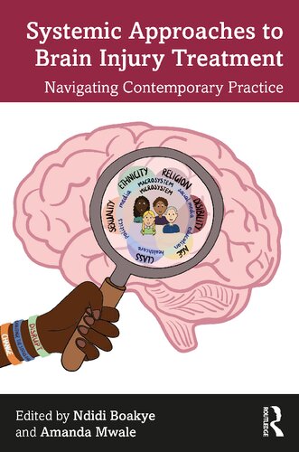 Systemic Approaches to Brain Injury Treatment: Navigating Contemporary Practice (PDF/EPUB Version)