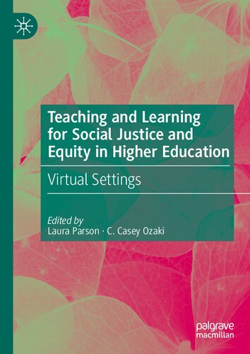 Teaching and Learning for Social Justice and Equity in Higher Education: Virtual Settings (PDF/EPUB Version)