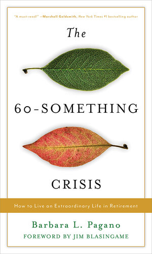 The 60-Something Crisis (PDF/EPUB Version)