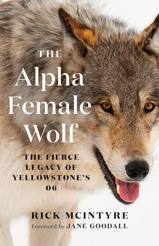The Alpha Female Wolf: The Fierce Legacy of Yellowstone's 06 (PDF/EPUB Version)