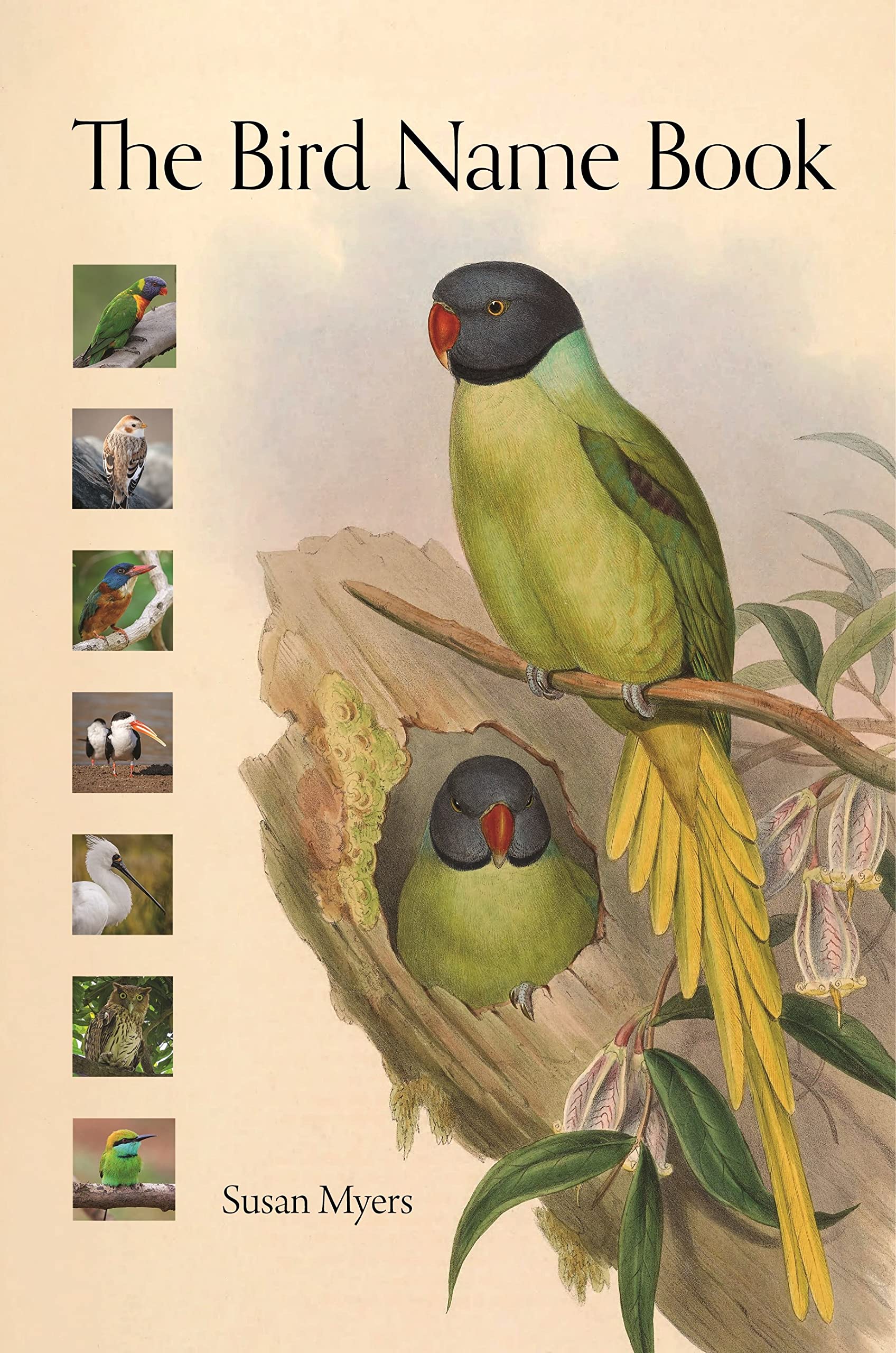The Bird Name Book: A History of English Bird Names (PDF/EPUB Version)
