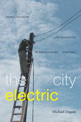 The City Electric: Infrastructure and Ingenuity in Postsocialist Tanzania (PDF/EPUB Version)