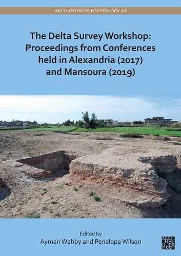 The Delta Survey Workshop: Proceedings from Conferences Held in Alexandria 2017 and Mansoura 2019 (PDF/EPUB Version)