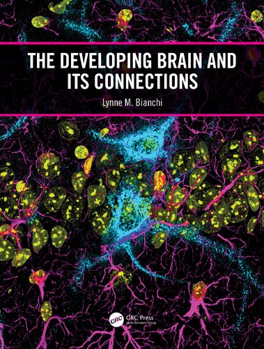 The Developing Brain and its Connections (PDF/EPUB Version)