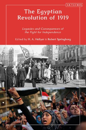 The Egyptian Revolution of 1919: Legacies and Consequences of the Fight for Independence (PDF/EPUB Version)