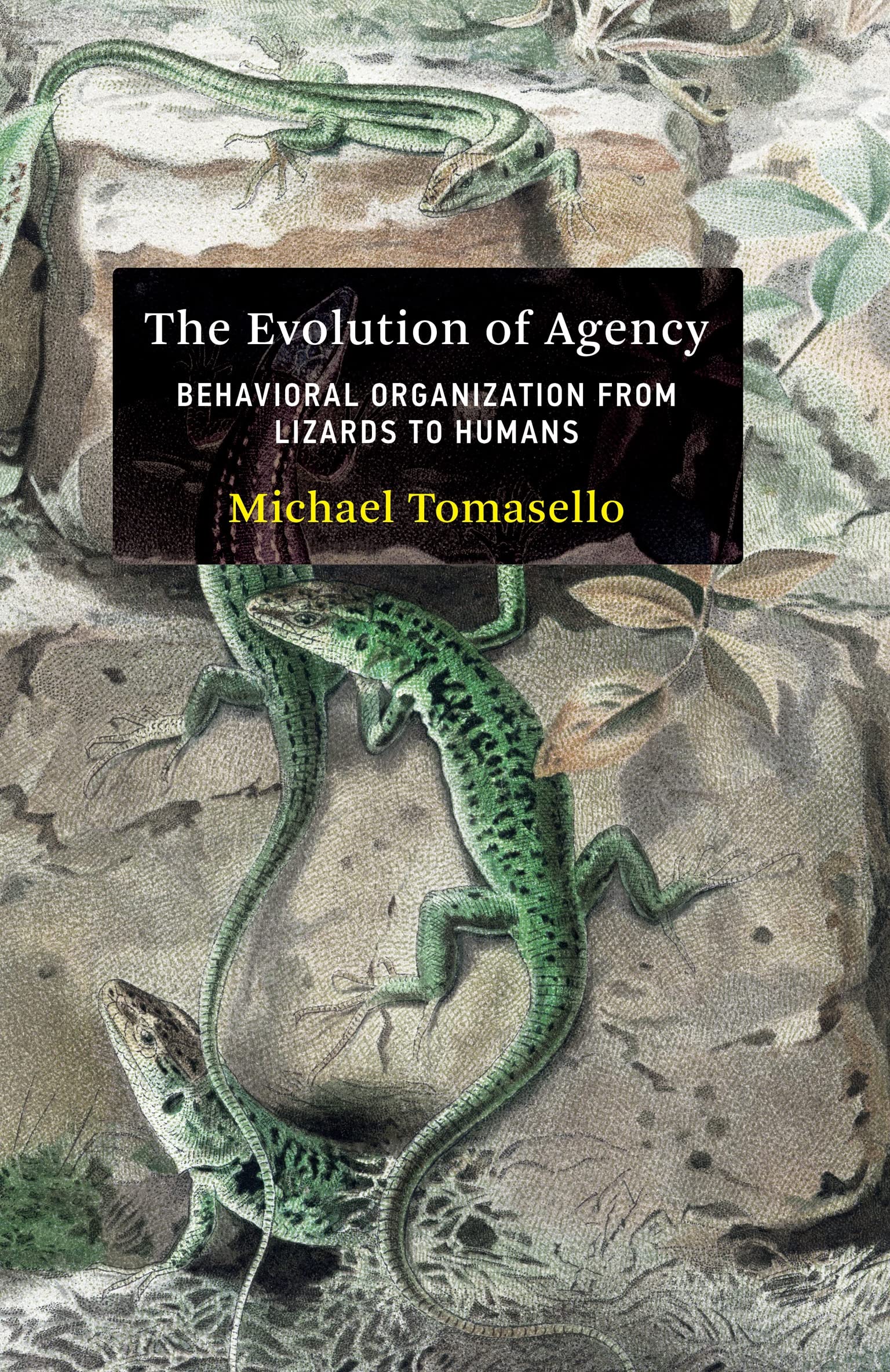 The Evolution of Agency: Behavioral Organization from Lizards to Humans (PDF/EPUB Version)