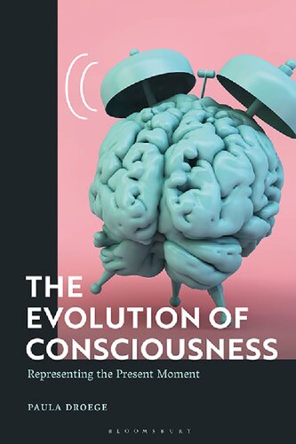 The Evolution of Consciousness: Representing the Present Moment (PDF/EPUB Version)