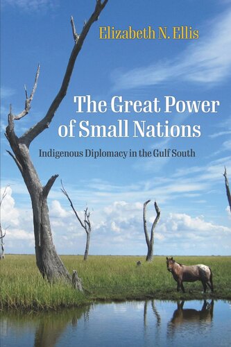 The Great Power of Small Nations: Indigenous Diplomacy in the Gulf South (PDF/EPUB Version)