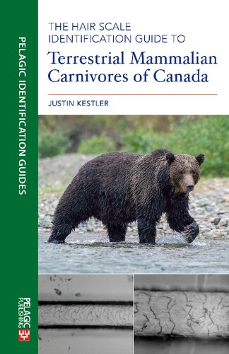 The Hair Scale Identification Guide to Terrestrial Mammalian Carnivores of Canada (PDF/EPUB Version)