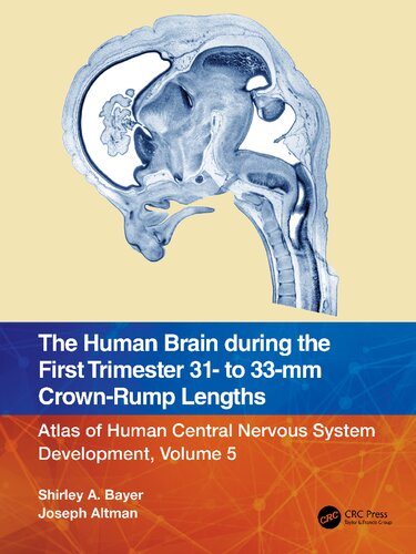 The Human Brain during the First Trimester 31- to 33-mm Crown-Rump Lengths (PDF/EPUB Version)