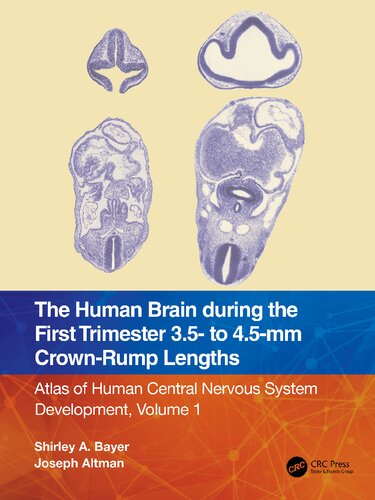 The Human Brain during the First Trimester 3.5- to 4.5-mm Crown-Rump Lengths (PDF/EPUB Version)