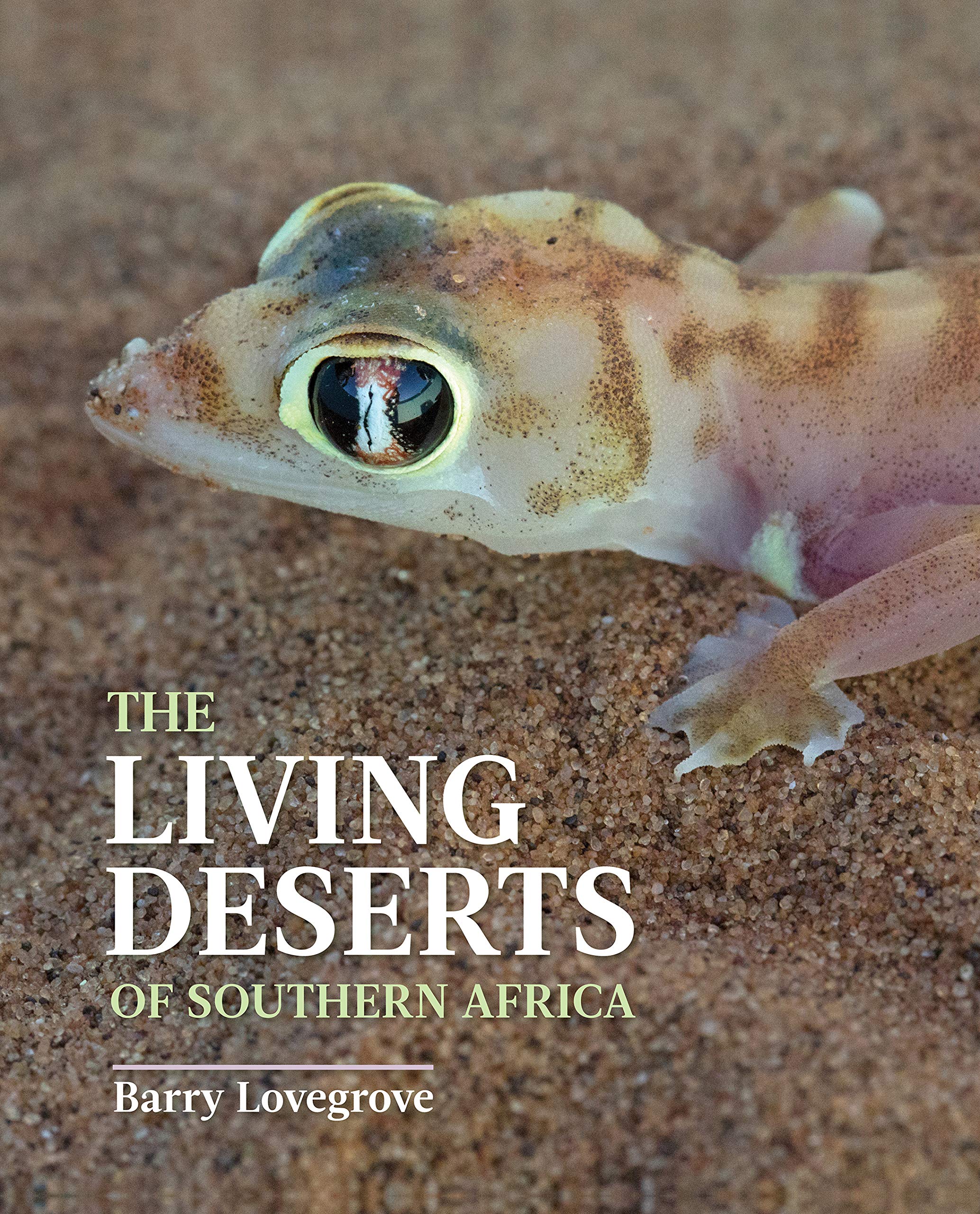The Living Deserts of Southern Africa (PDF/EPUB Version)