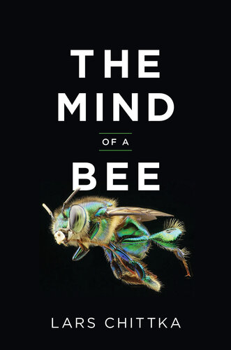 The Mind of a Bee (PDF/EPUB Version)