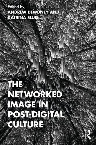 The Networked Image in Post-Digital Culture (PDF/EPUB Version)