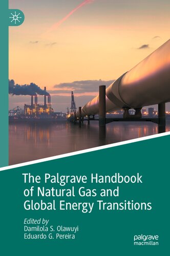 The Palgrave Handbook of Natural Gas and Global Energy Transitions (PDF/EPUB Version)