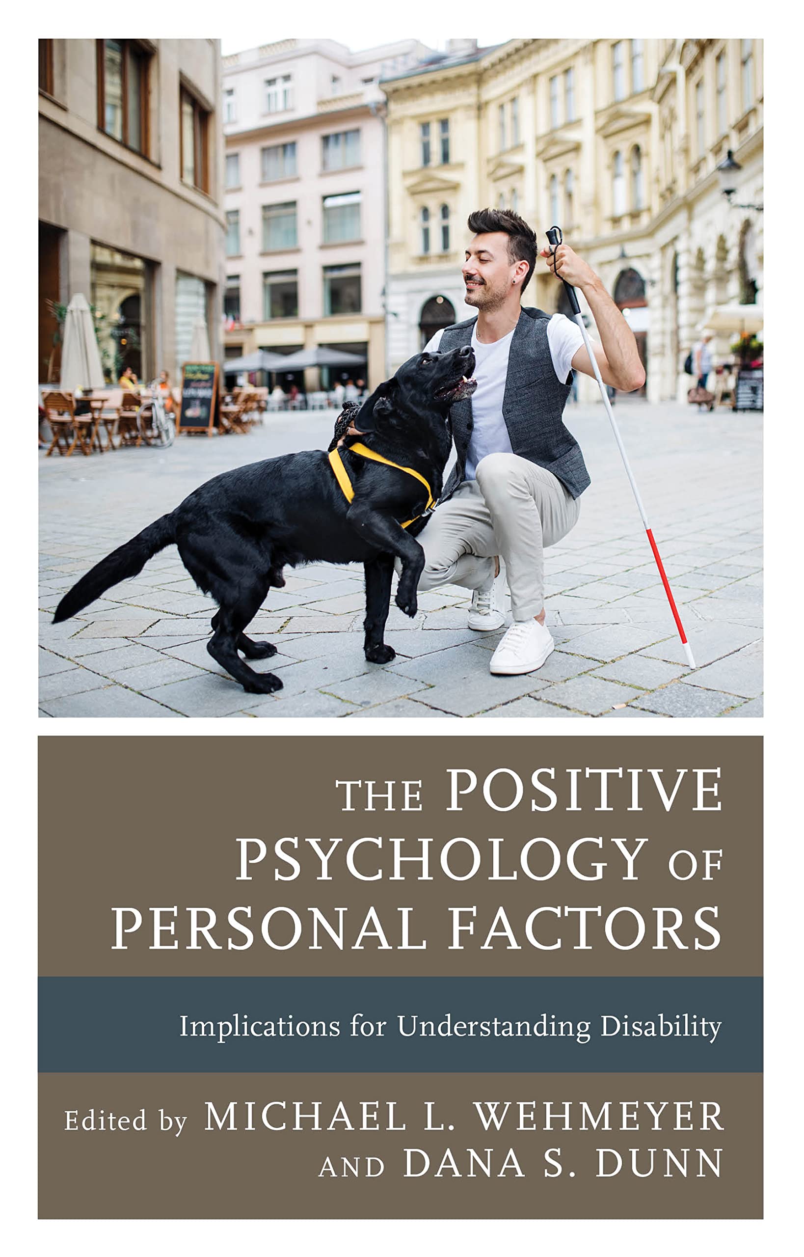 The Positive Psychology of Personal Factors: Implications for Understanding Disability (PDF/EPUB Version)