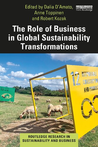 The Role of Business in Global Sustainability Transformations (PDF/EPUB Version)