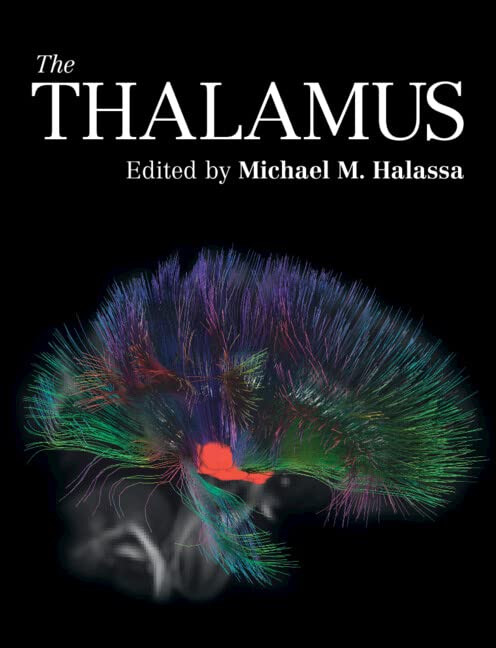 The Thalamus (PDF/EPUB Version)