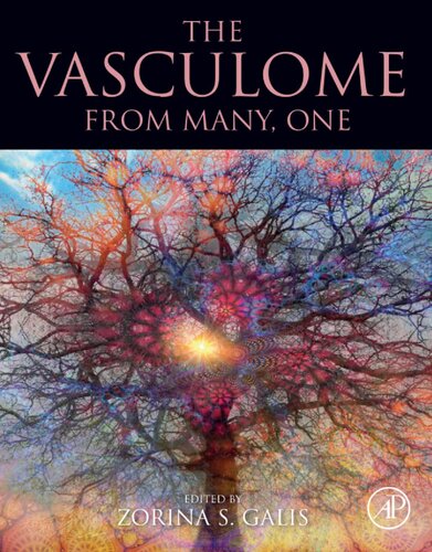 The Vasculome: From Many, One (PDF/EPUB Version)