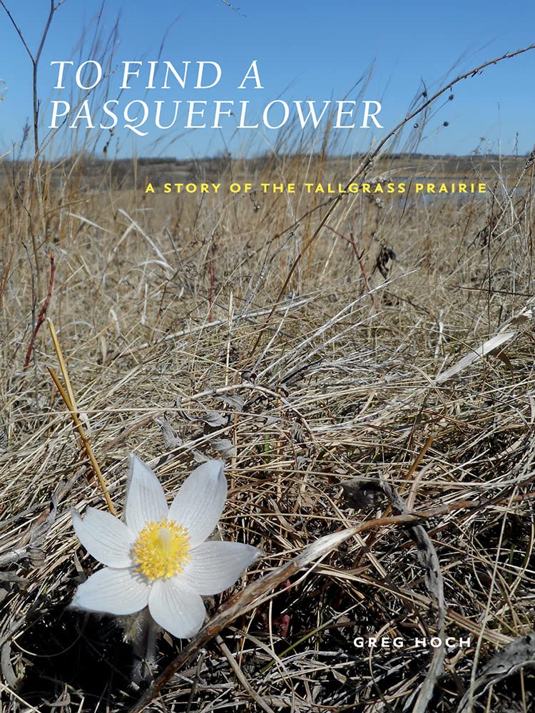To Find a Pasqueflower: A Story of the Tallgrass Prairie (PDF/EPUB Version)