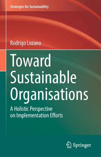Toward Sustainable Organisations: A Holistic Perspective on Implementation Efforts (PDF/EPUB Version)