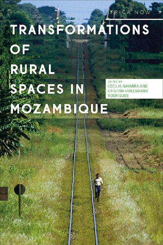 Transformations of Rural Spaces in Mozambique (PDF/EPUB Version)