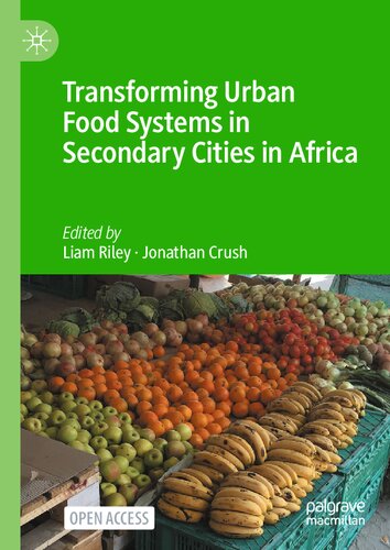 Transforming Urban Food Systems in Secondary Cities in Africa (PDF/EPUB Version)