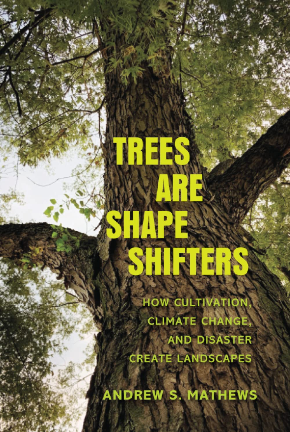 Trees Are Shape Shifters: How Cultivation, Climate Change, and Disaster Create Landscapes (PDF/EPUB Version)