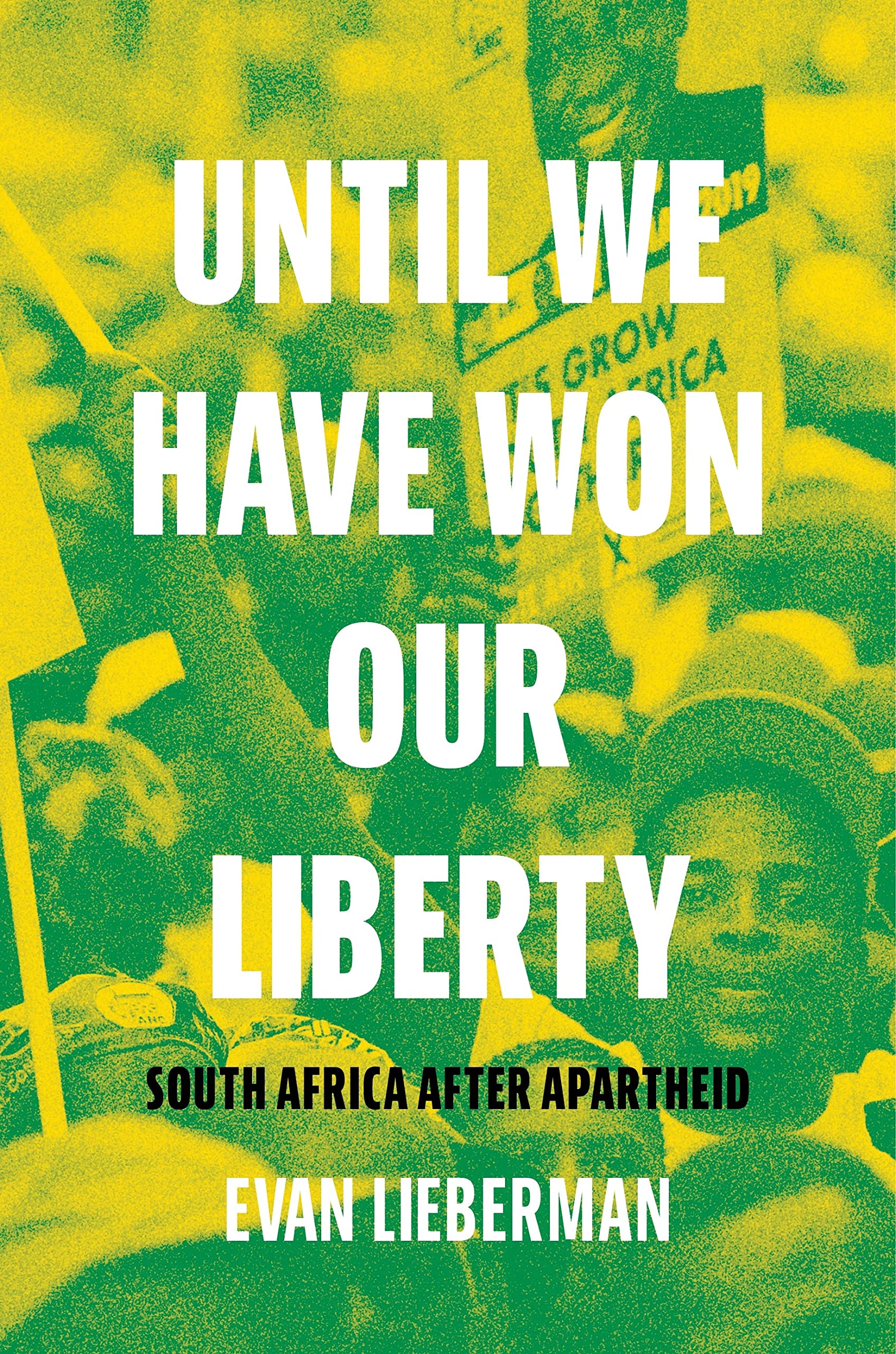 Until We Have Won Our Liberty: South Africa after Apartheid (PDF/EPUB Version)