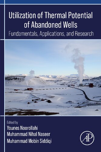 Utilization of Thermal Potential of Abandoned Wells: Fundamentals, Applications and Research (PDF/EPUB Version)