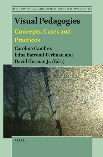 Visual Pedagogies: Concepts, Cases and Practices (PDF/EPUB Version)
