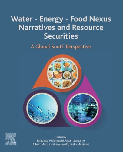 Water - Energy - Food Nexus Narratives and Resource Securities: A Global South Perspective (PDF/EPUB Version)