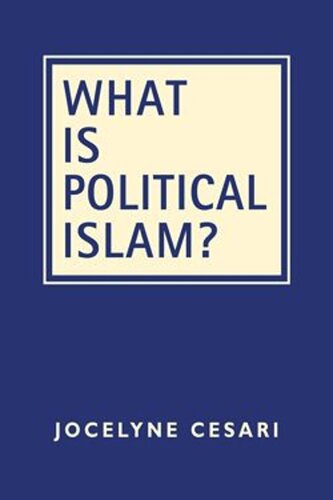 What is Political Islam? (PDF/EPUB Version)